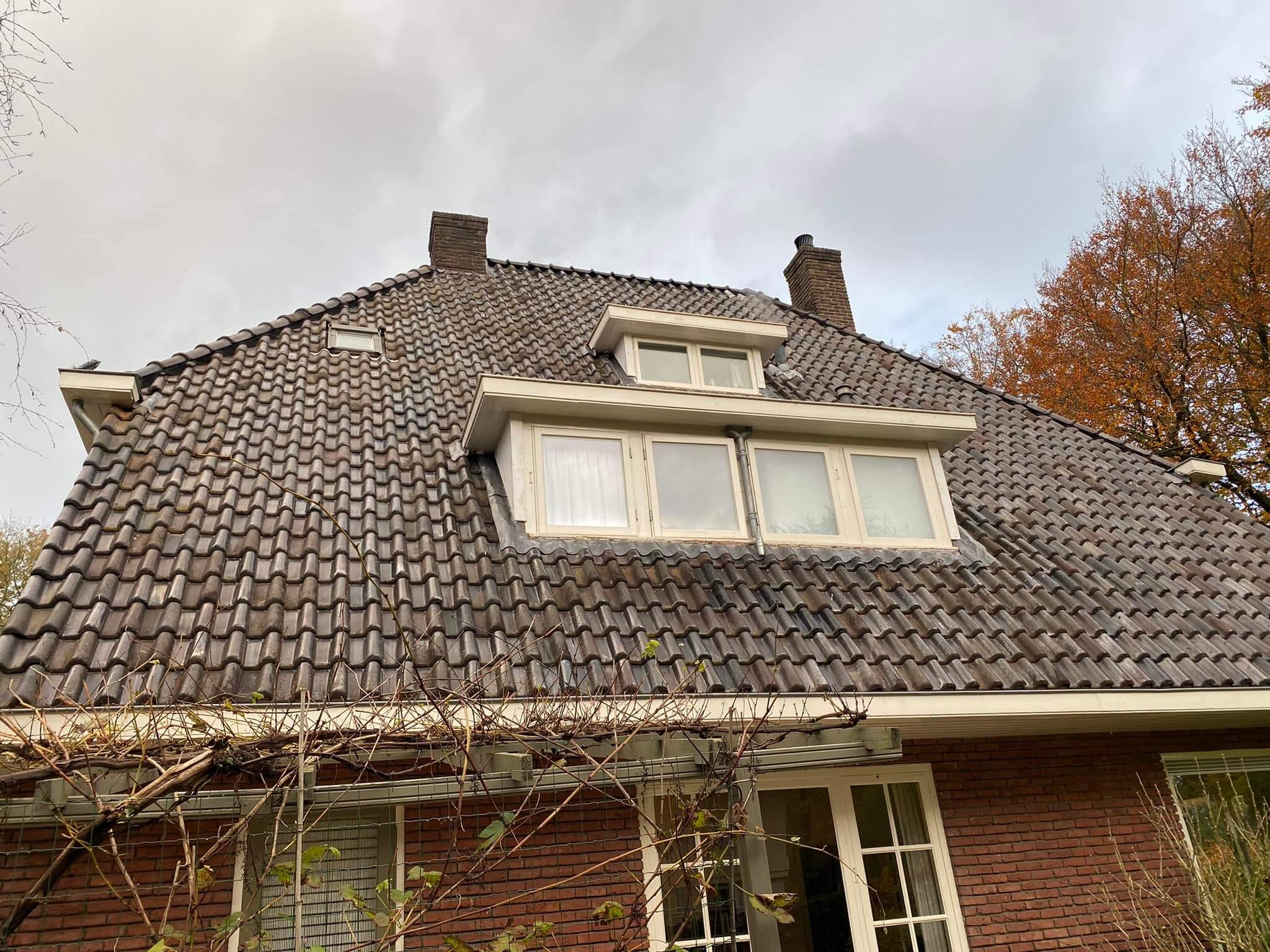 Dakdekker regio Bilthoven